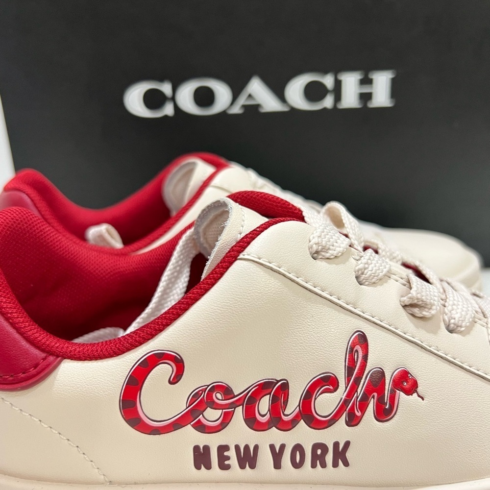 Coach Chalk Multi High Line Sneakers - Picture 6 of 11